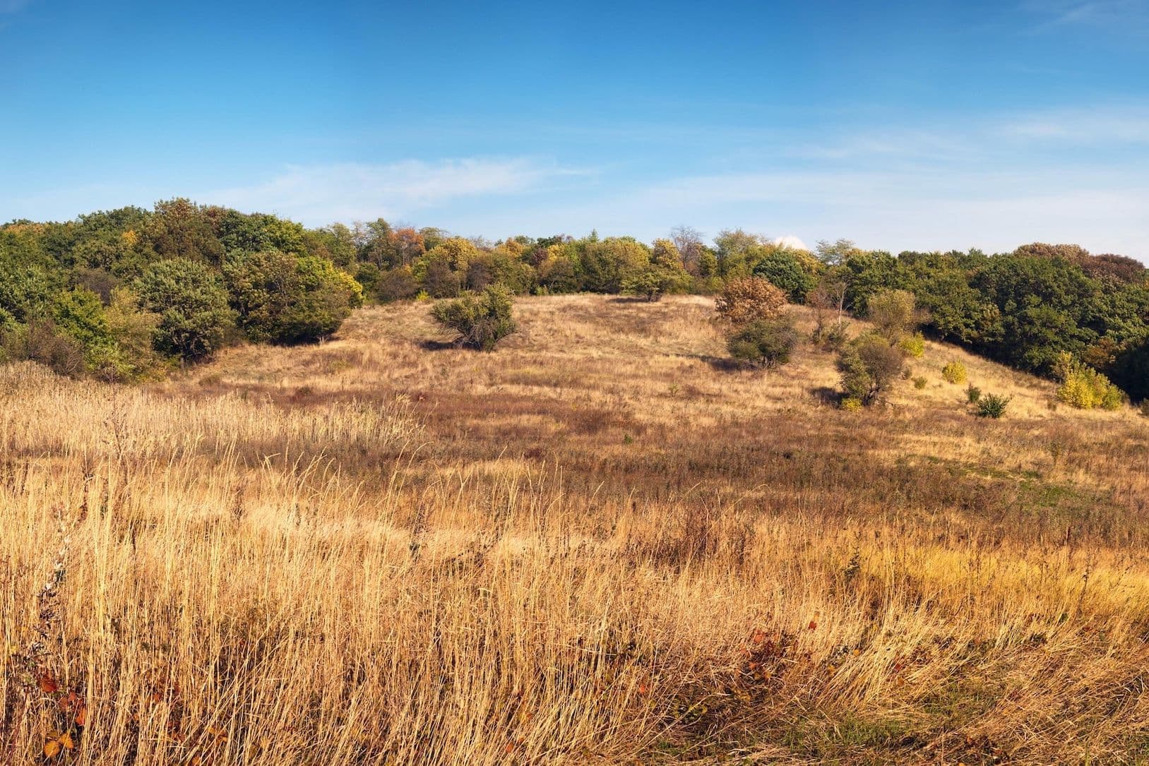 Территория Татарского городища
